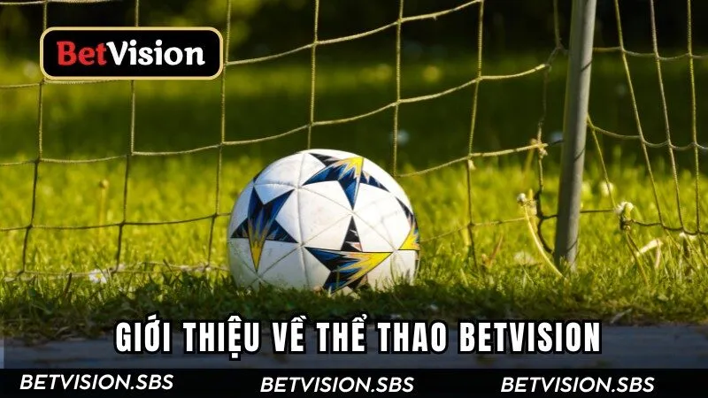 Giới thiệu về thể thao Betvision Giới thiệu về thể thao Betvision